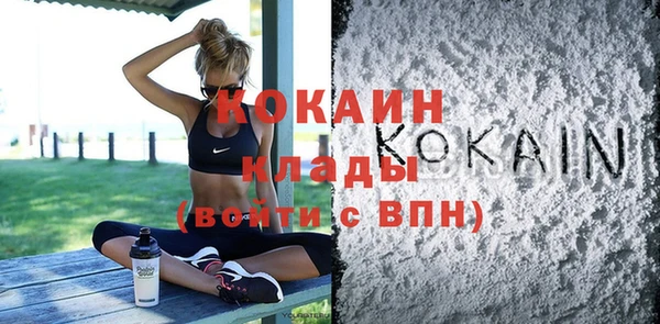 прущие грибы Кукмор