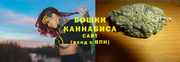 прущие грибы Кукмор