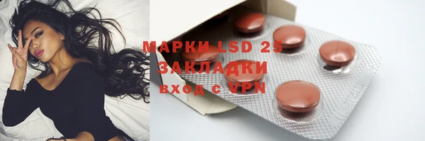 прущие грибы Кукмор