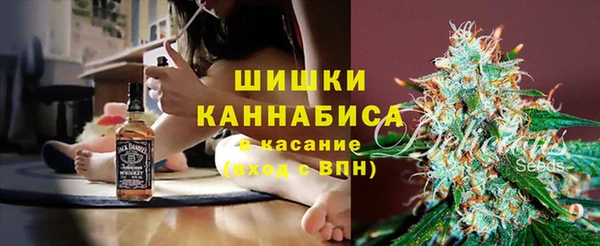 индика Куйбышев