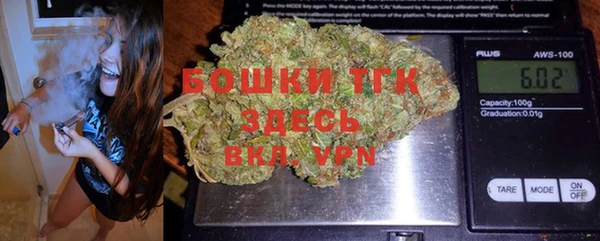 индика Куйбышев