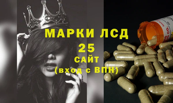 прущие грибы Кукмор