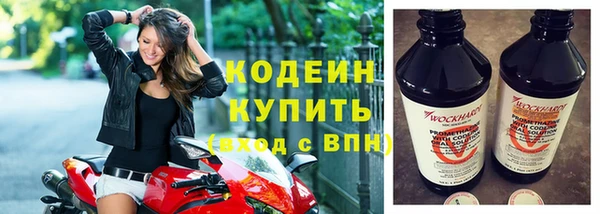 индика Куйбышев