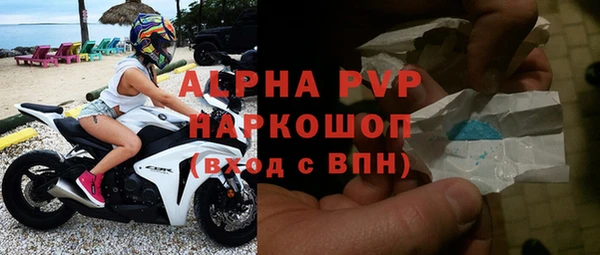 индика Куйбышев